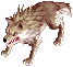 Desert Wolf Sprite