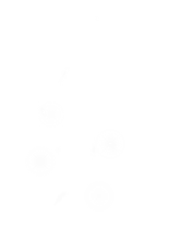 Mana of White Sprite